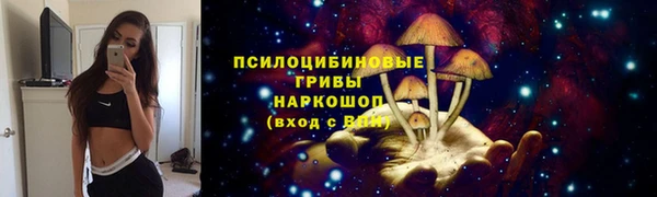 синтетический гашиш Алексин