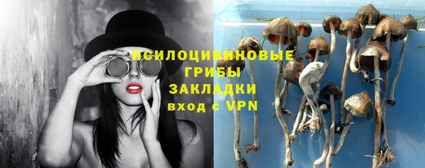 бутират Алексеевка